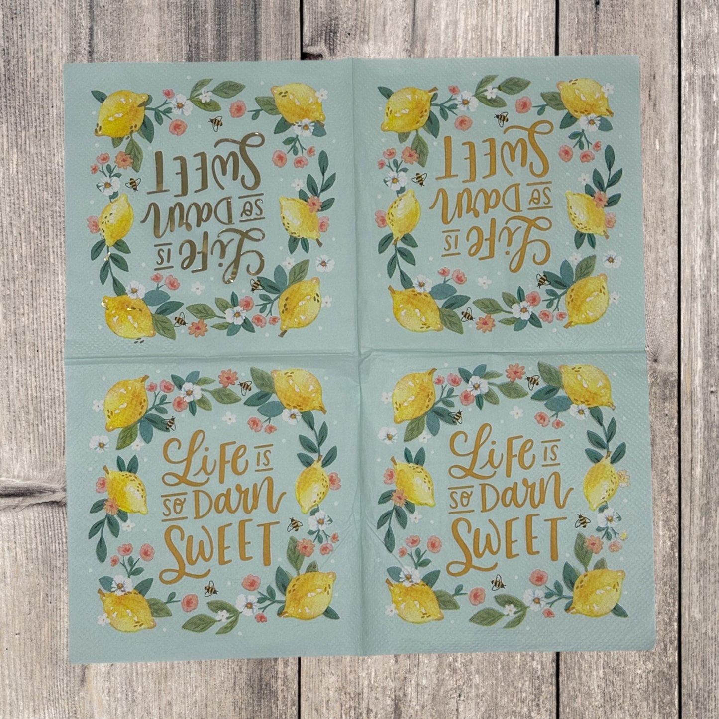Cosecha de otoño Acción de Gracias Girasoles Bayas DOS servilletas de cóctel para decoupage