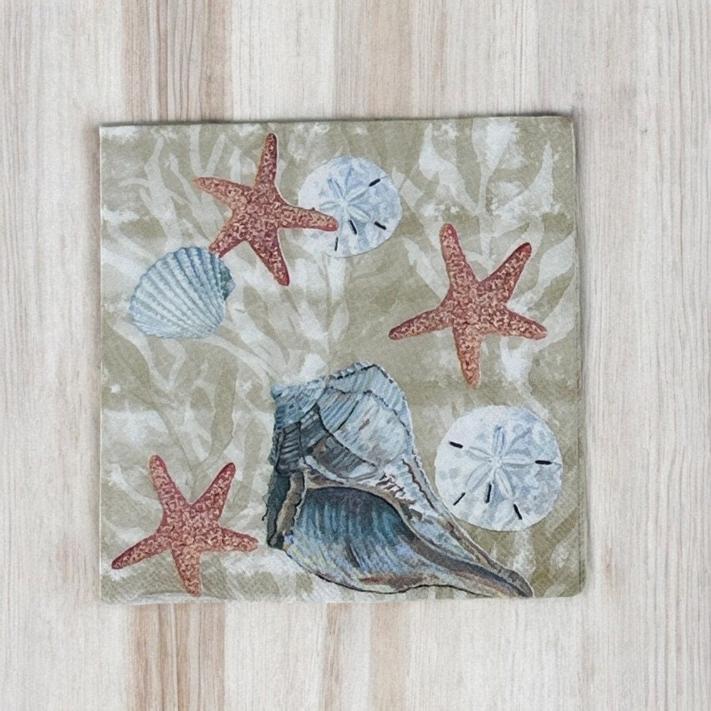 Decoupage Napkins Sand Dollars Summer Beach Days Seashell Shell Blue Cocktail Paper Crafts
