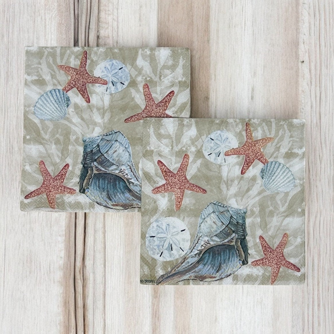Decoupage Napkins Sand Dollars Summer Beach Days Seashell Shell Blue Cocktail Paper Crafts