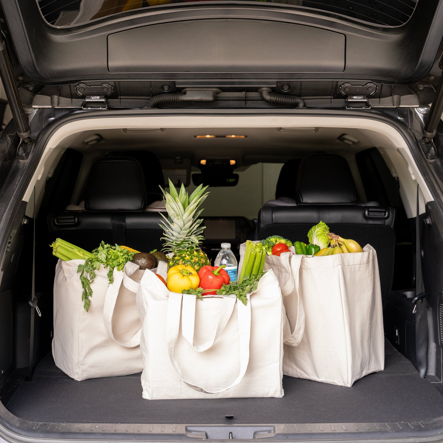 Reusable Bags