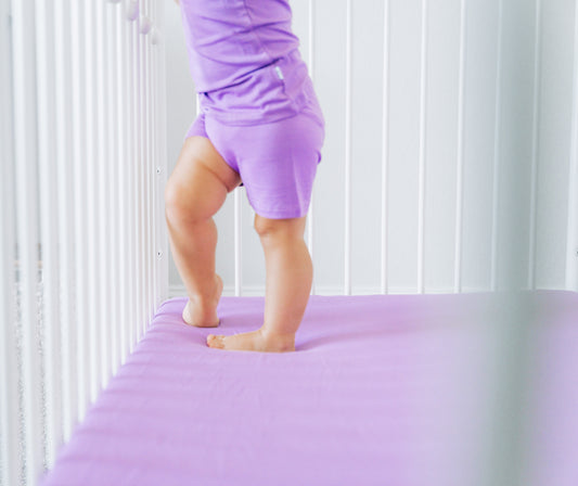 PURPLE DREAM CRIB SHEET
