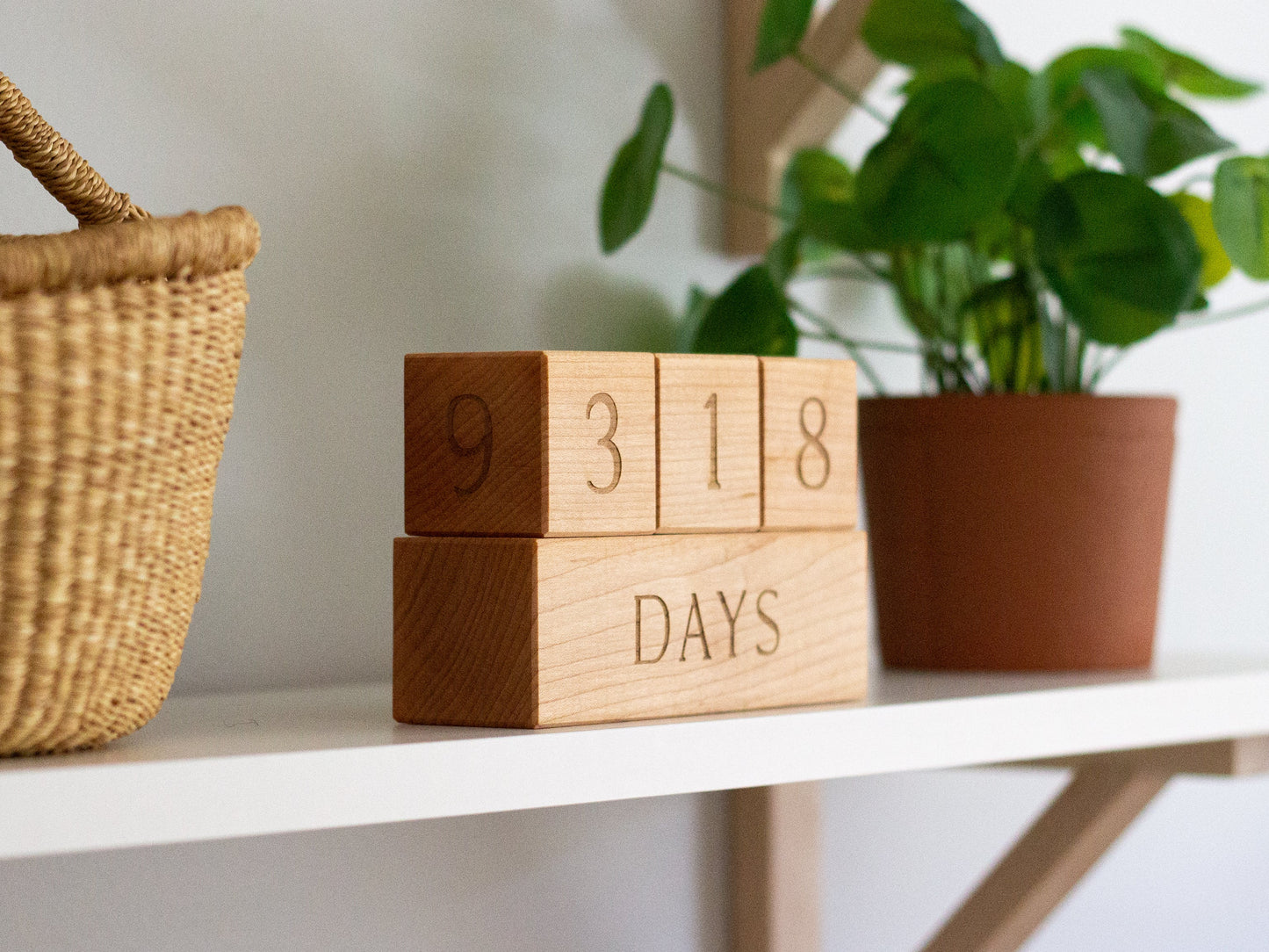 Modern Wooden Milestone Blocks